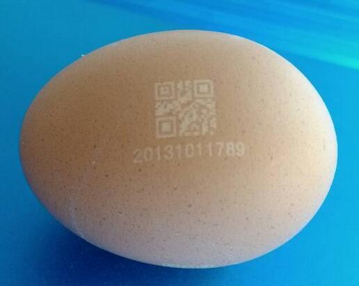 雞蛋上激光打標(biāo)圖案 雞蛋上激光打標(biāo)圖案